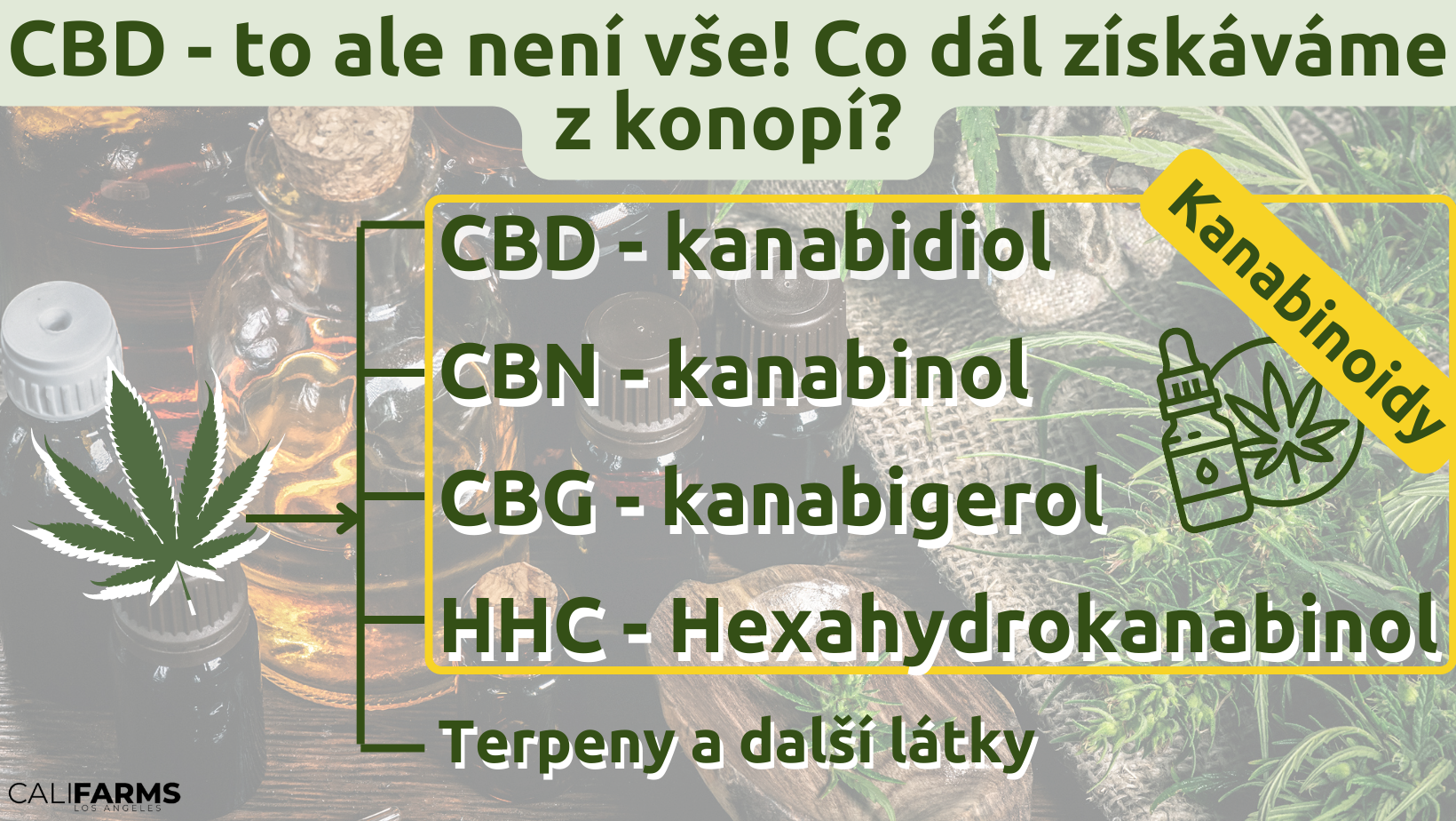 další kanabinoidy - CBG, CBN, HHC